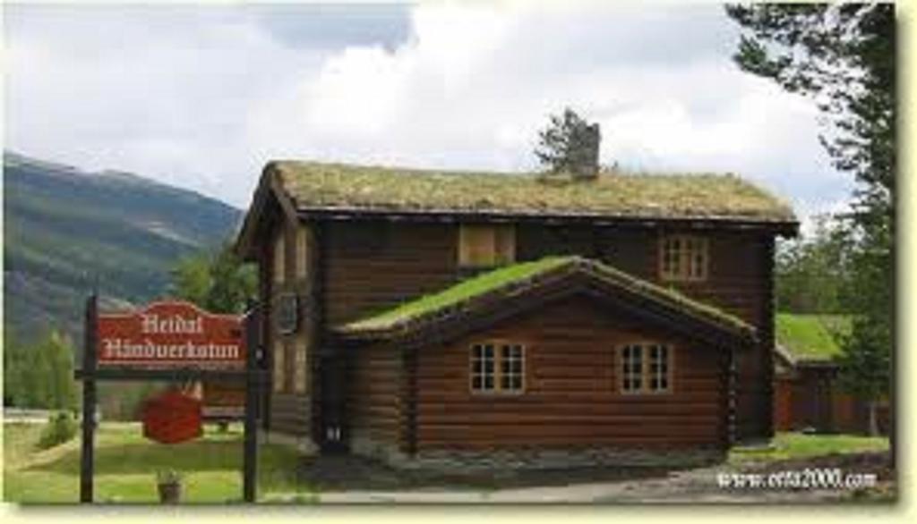 Lusaeter Timber Cabins Heidal 외부 사진